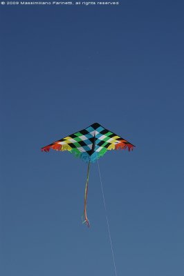 Kite festival