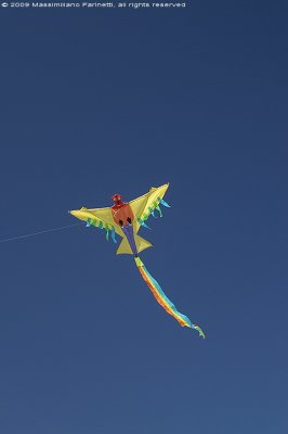 Kite festival