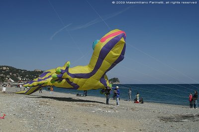 Kite festival