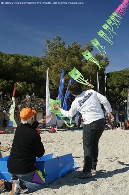 Kite festival