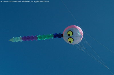 Kite festival