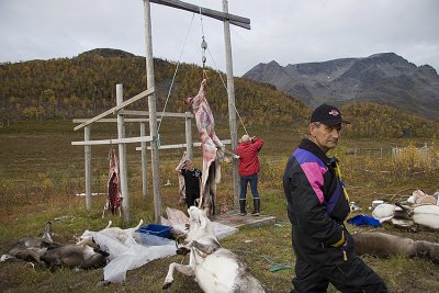 g1/27/702827/3/129835192.XhUoeZNh.jpg