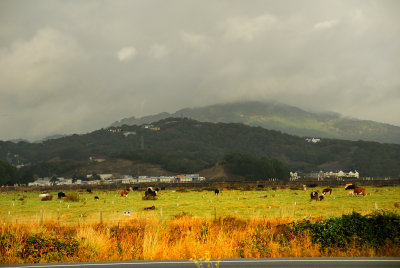 DSC_0324.jpg