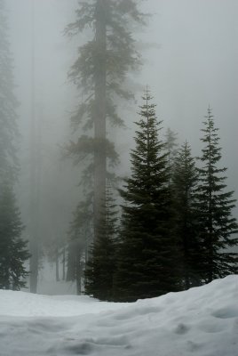 g1/27/710527/3/93697809.YZkfs6Si.jpg