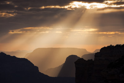 Suns rays paint the canyon with golden light