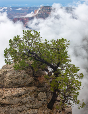 Mist rises from the canyon below Monument Point after summer monsoon storm