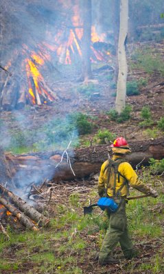 Forest Service clearing forest debris during prescribed slash burns