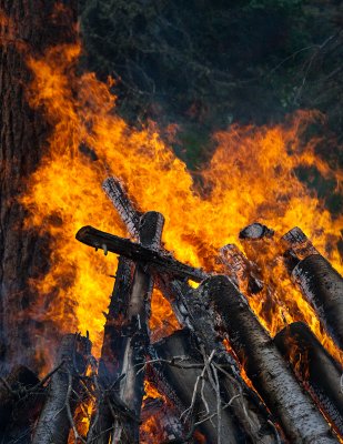 Forest Service clearing forest debris during prescribed slash burns
