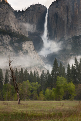 Yosemite-126.