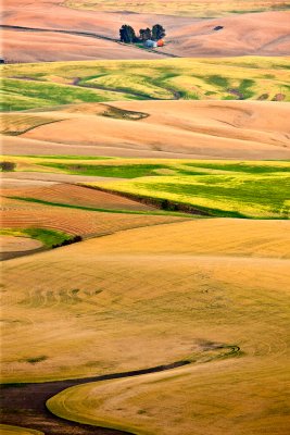 Palouse01.jpg