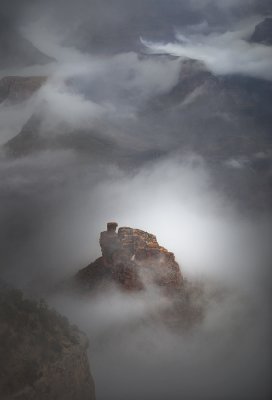 Grand Canyon -Rising from the fog