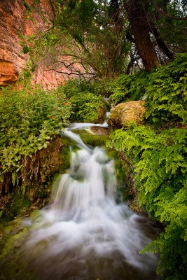 Havasupai08-10 copy.jpg