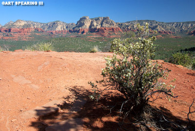 View From Devil's Bridge Trail