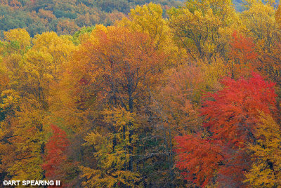 Fall Foliage at Middle Creek WMA