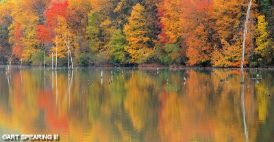 Autumn Reflection At Middle Creek WMA