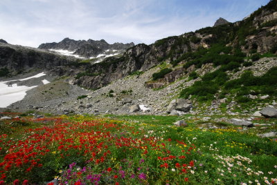 Meadows in the Russian Army Camp, Tantalus Provincial Park