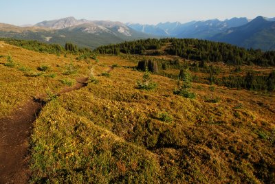 Bald Hills, Jasper National Park