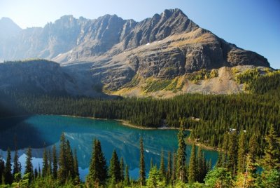 Views of Lake O'Hara