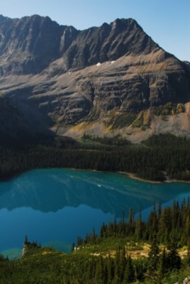 Views of Lake O'Hara