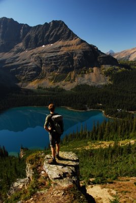 g1/27/776727/3/118274500.8U9Jg3fR.jpg