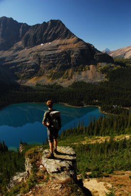 Views of Lake O'Hara