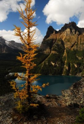 Lake O'Hara National Park