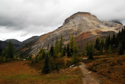 Lake O'Hara National Park