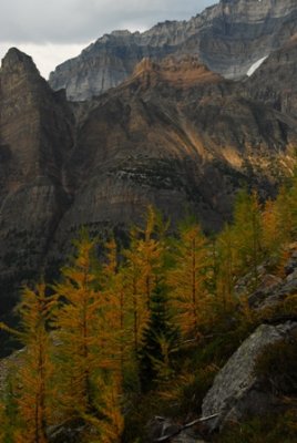 Lake O'Hara National Park