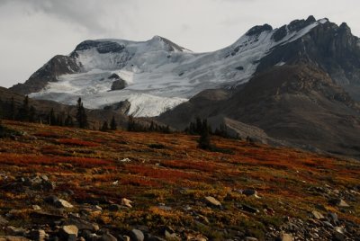 Athabasca Glacier, Jasper National Park