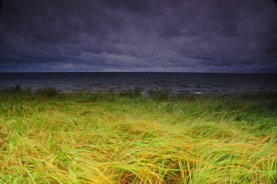 Big Blow At Darnley Shore, PEI