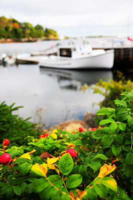 Chester, Nova Scotia