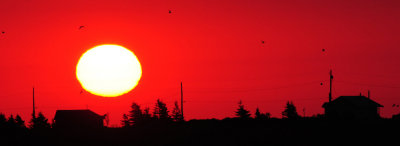 Dawn At French River, PEI