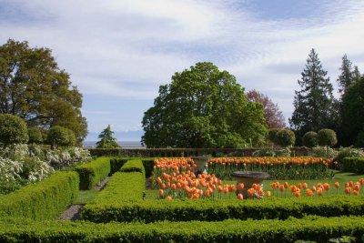 another shot of the garden