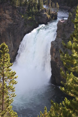  yellowstone_vacation