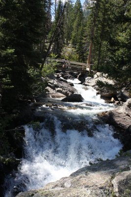 yellowstone_vacation