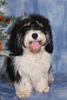 Murphy