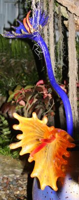 chihuly at phipps