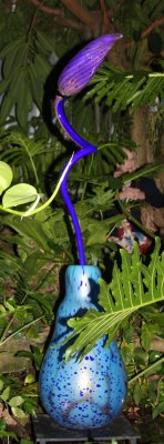 chihuly at phipps