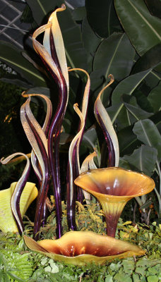 Chihuly Glass