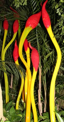 chihuly at phipps