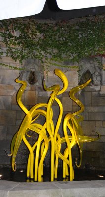 chihuly at phipps