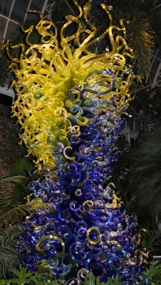 chihuly at phipps