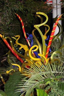 chihuly at phipps