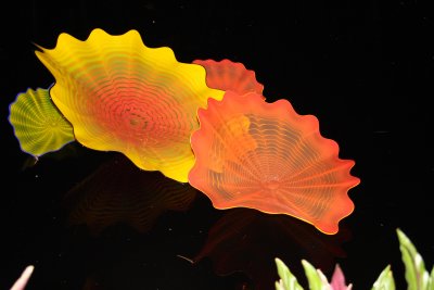 chihuly at phipps