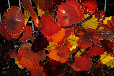 chihuly at phipps
