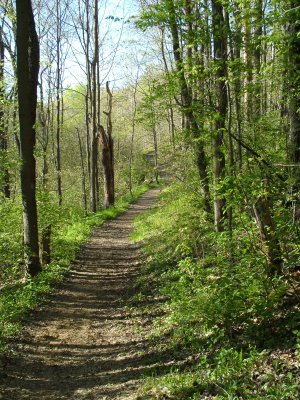 brush_creek_park