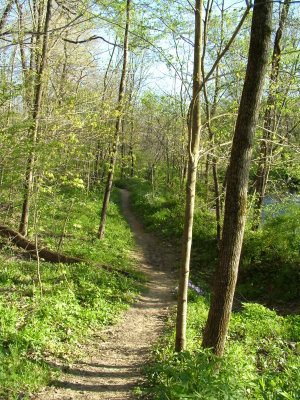 Pathway
