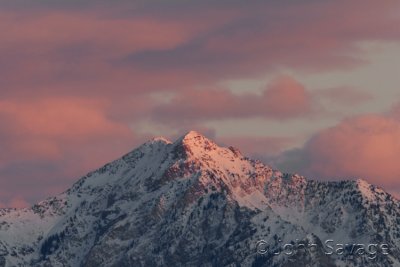 Wasatch mountains