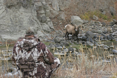 Larry P and bighorn