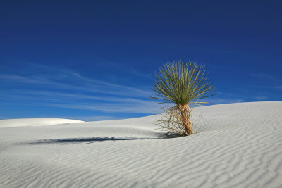 white sands NM  New Mexico